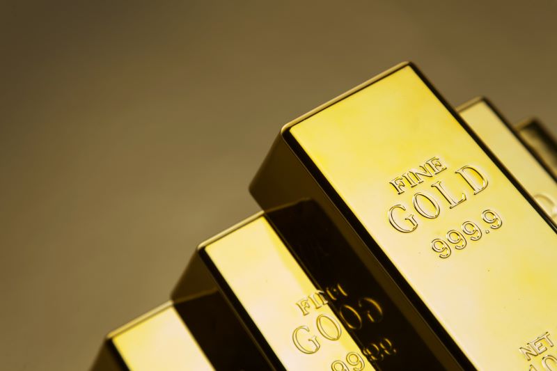 Market Analysis and Forecasts